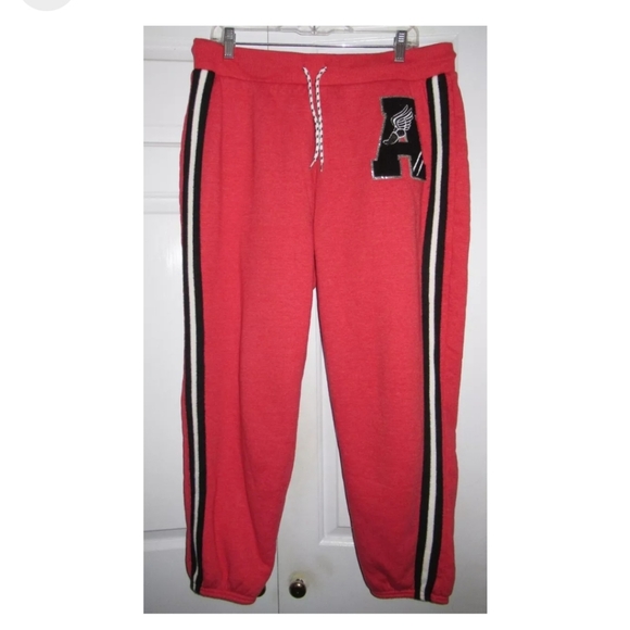 No Boundaries Sherpa Lined Activewear Sweatpants - Picture 2 of 7